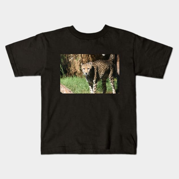 I Dare You To Run Kids T-Shirt by LeanneAllen